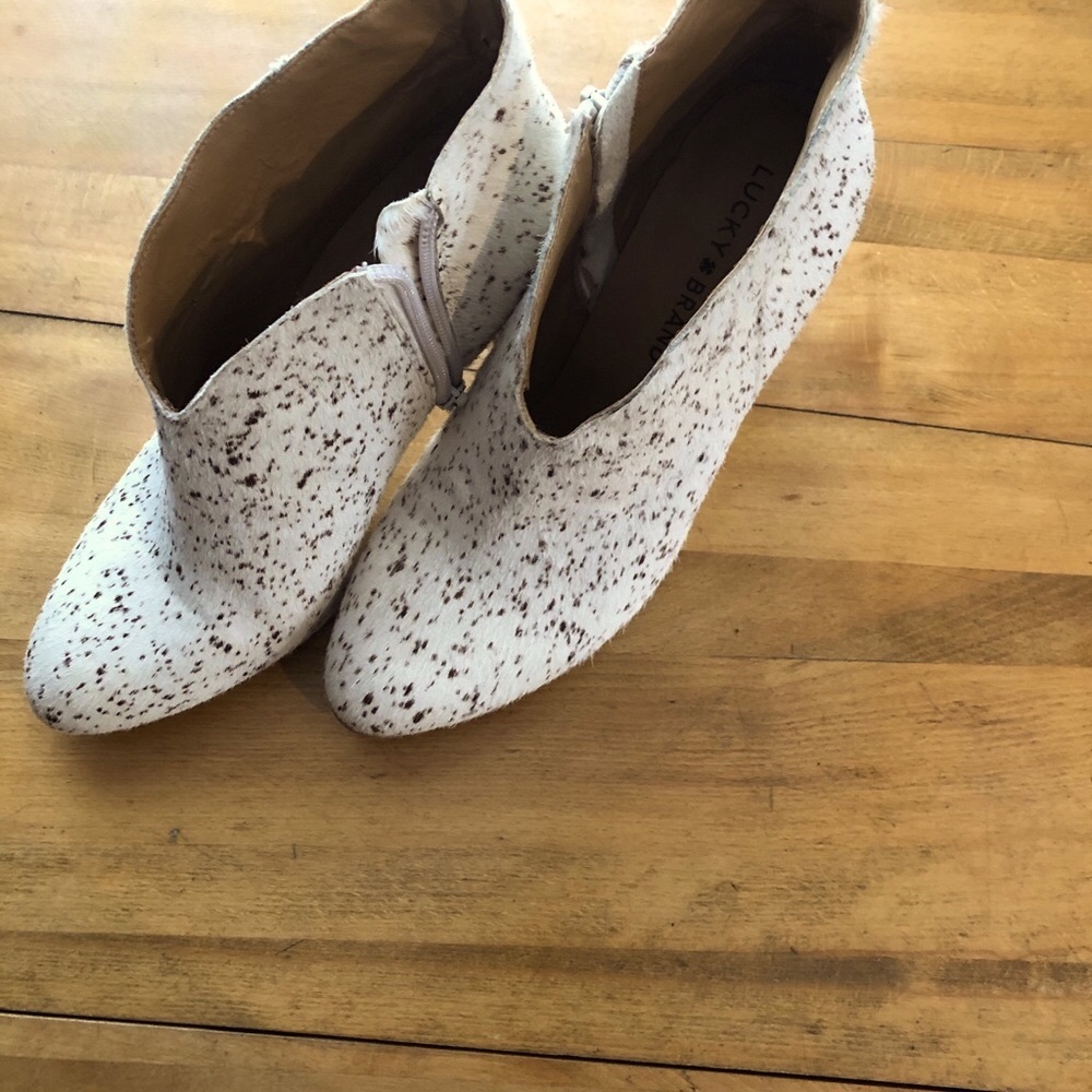 Lucky brand/ cow print ankle boot wit 2 inch heel/ 6.5/ lightly worn